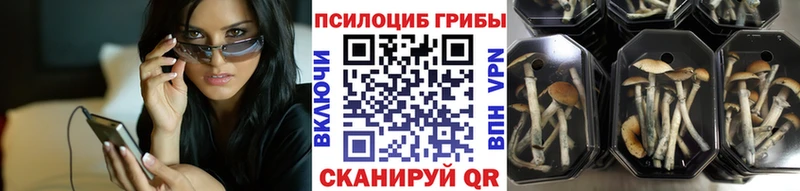кракен сайт  Долинск  Галлюциногенные грибы Psilocybe 